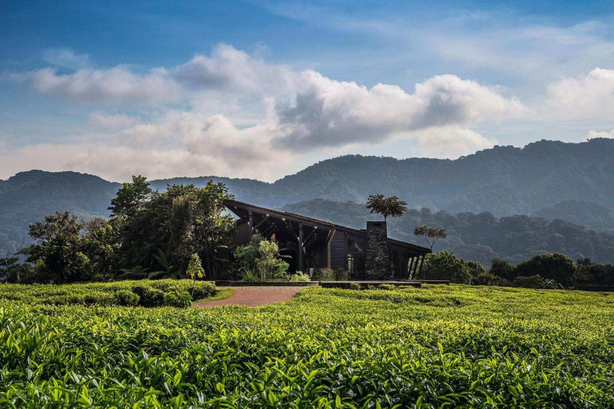 One&Only Nyungwe House Villa Rwumba Kültér fotó