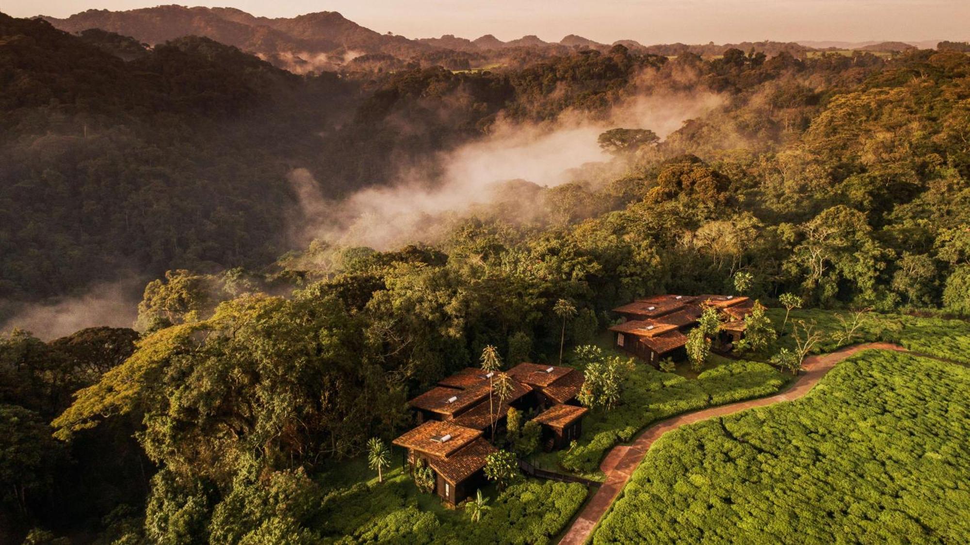 One&Only Nyungwe House Villa Rwumba Kültér fotó